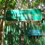 bvi-august-of-2015-477